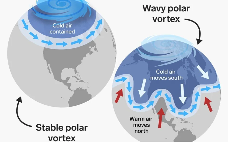 wir_polarny